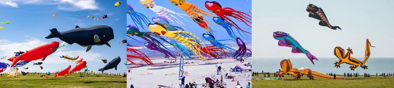 кайт фестиваль