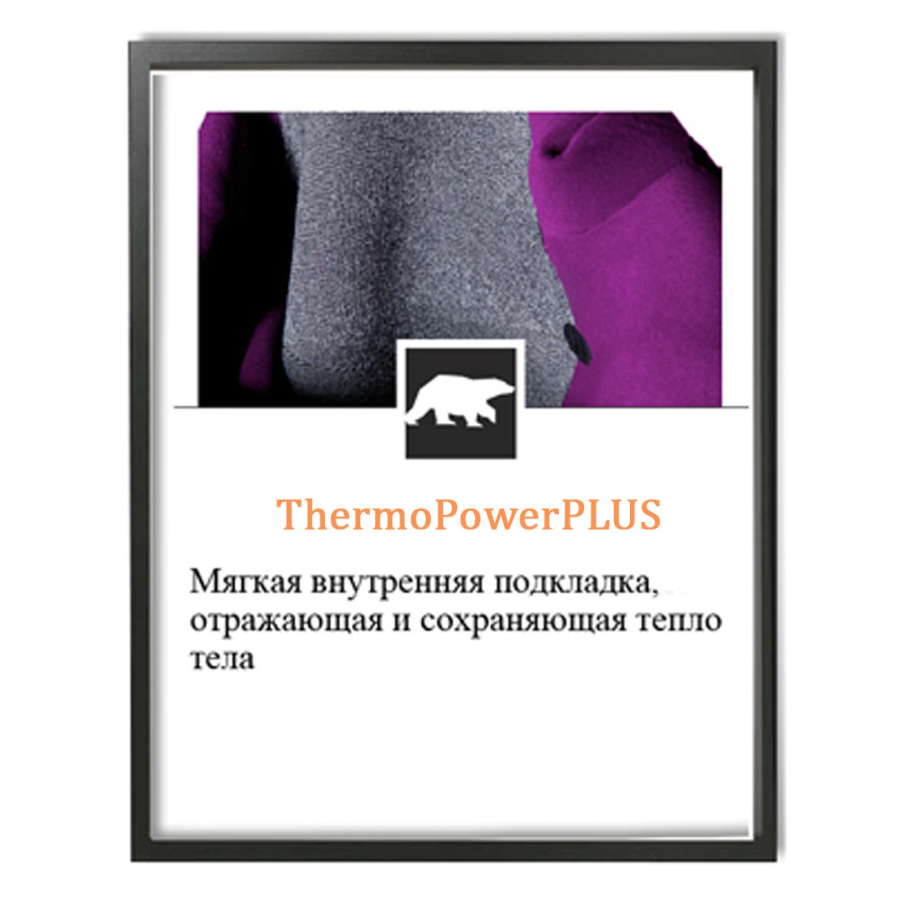 ThermoPowerPLUS