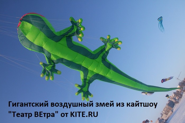 Летающие змеи.jpg