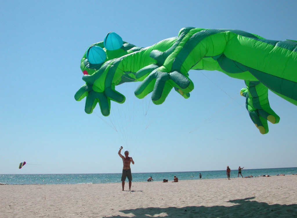 Реальные размер. Воздушный змей Гекон из шоу - «Змеиное логово», Театр ветраDragonfestот KITE.RU